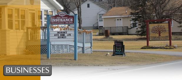 Duanesburg Businesses