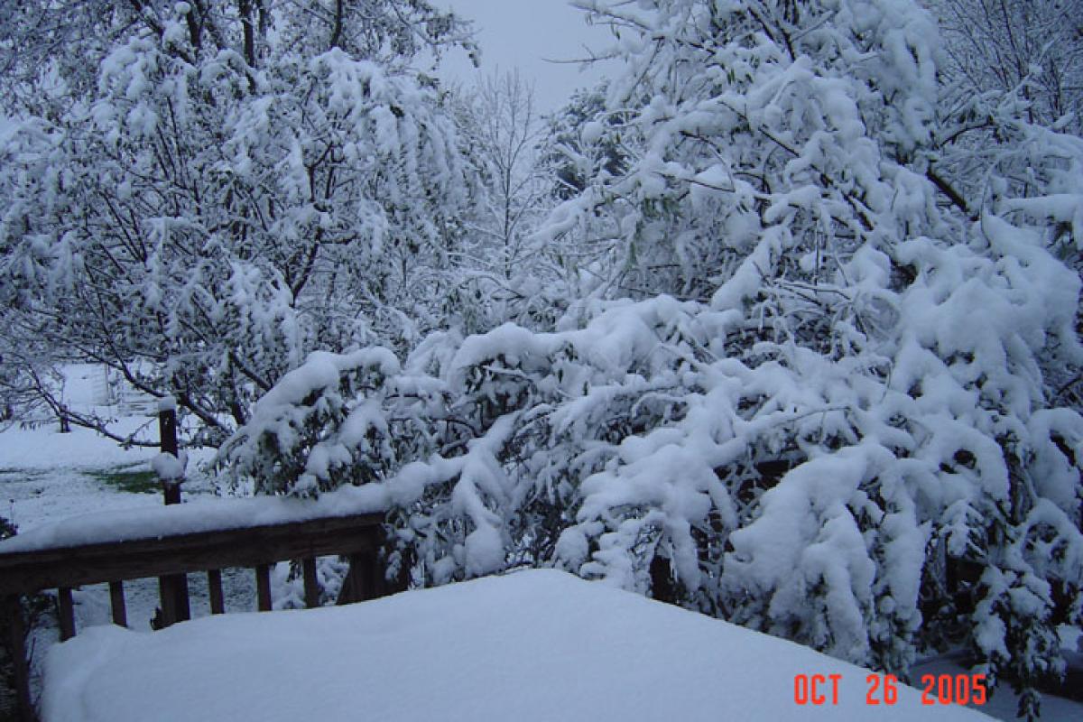 Snowfall